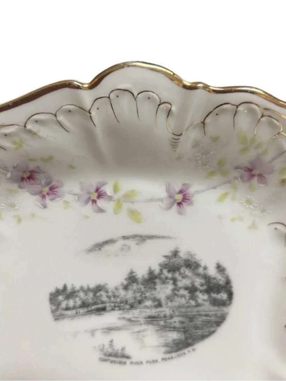 Antique W.W. Allen Penacook NH Serving Dishes Set Of 2 Transferware Germany